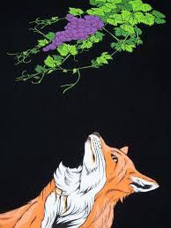 FELPA CON CAPPUCCIO DOLLY NOIRE